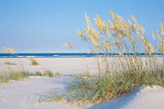 Shell Island Resort - All Oceanfront Suites Wrightsville Beach Exterior photo